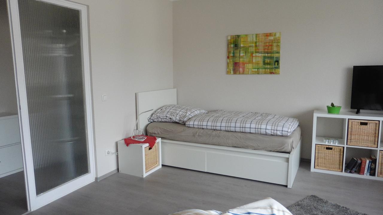 Profair Near Exhibition Center Apartment *